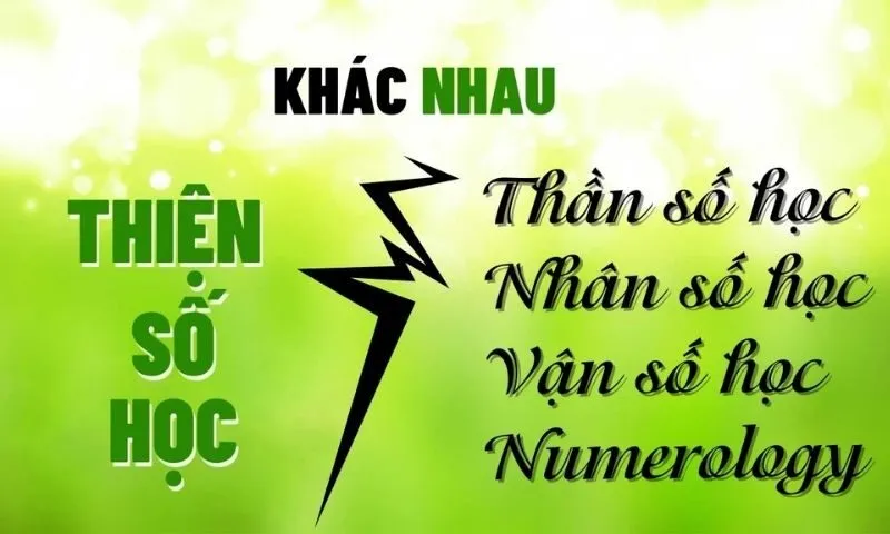 Ngày Cá Nhân Thần Số Học Là Gì?